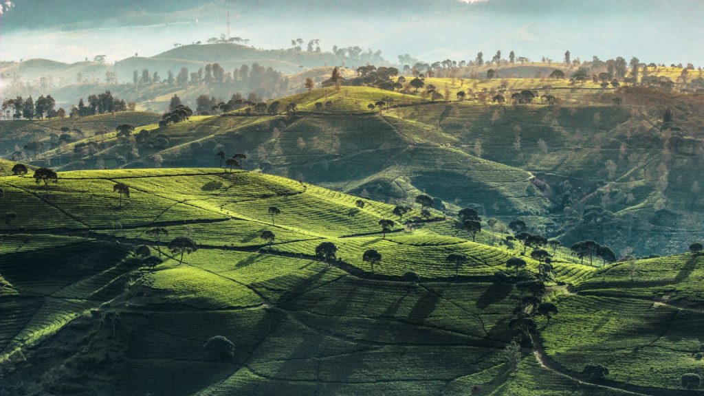 Rahayu & Partners Law Offices